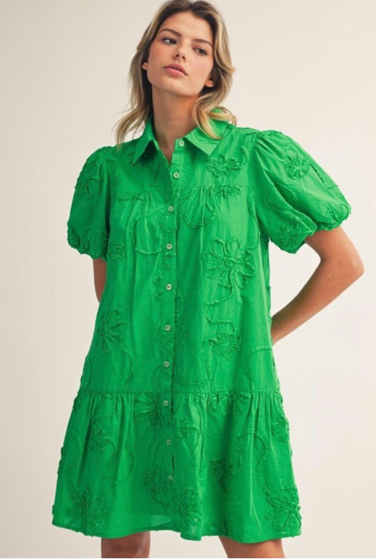 Embroidered Green Dress