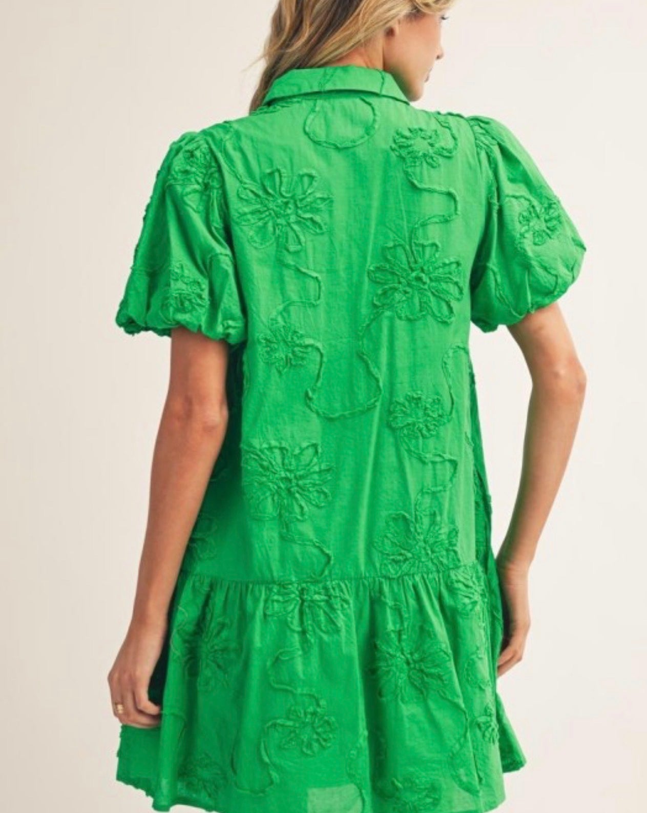 Embroidered Green Dress