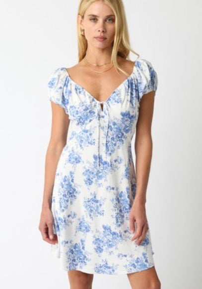 Blue Floral Mini Dress